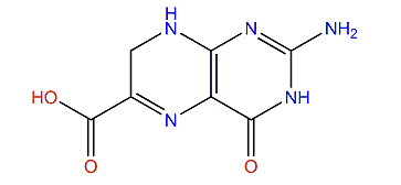 7,8-Dihydropterin-6-carboxylic acid